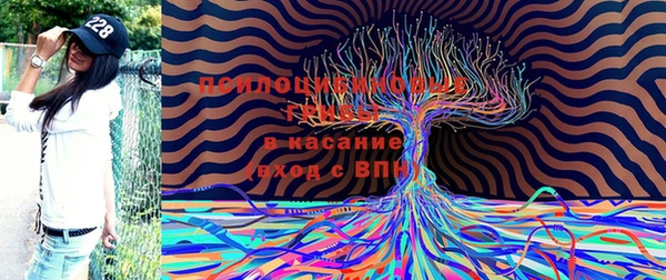 круглые Алзамай